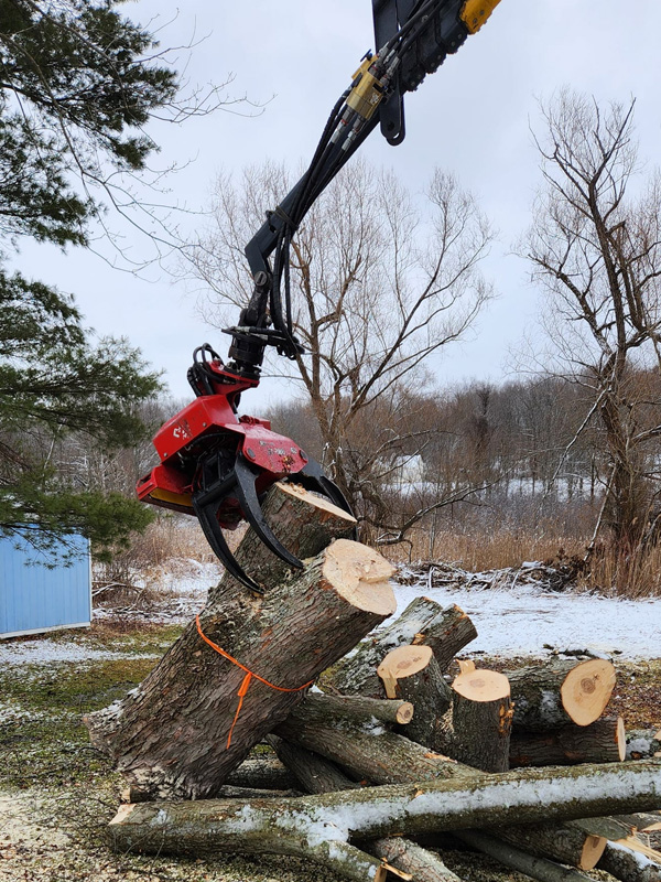 Tree removal and related services