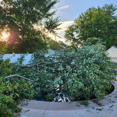Emergency tree service operation site